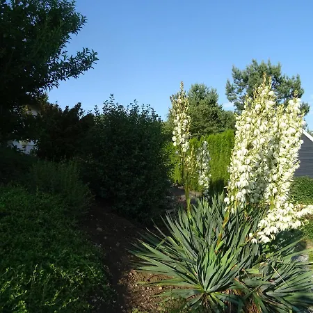 Turm Im Blick Dietingen